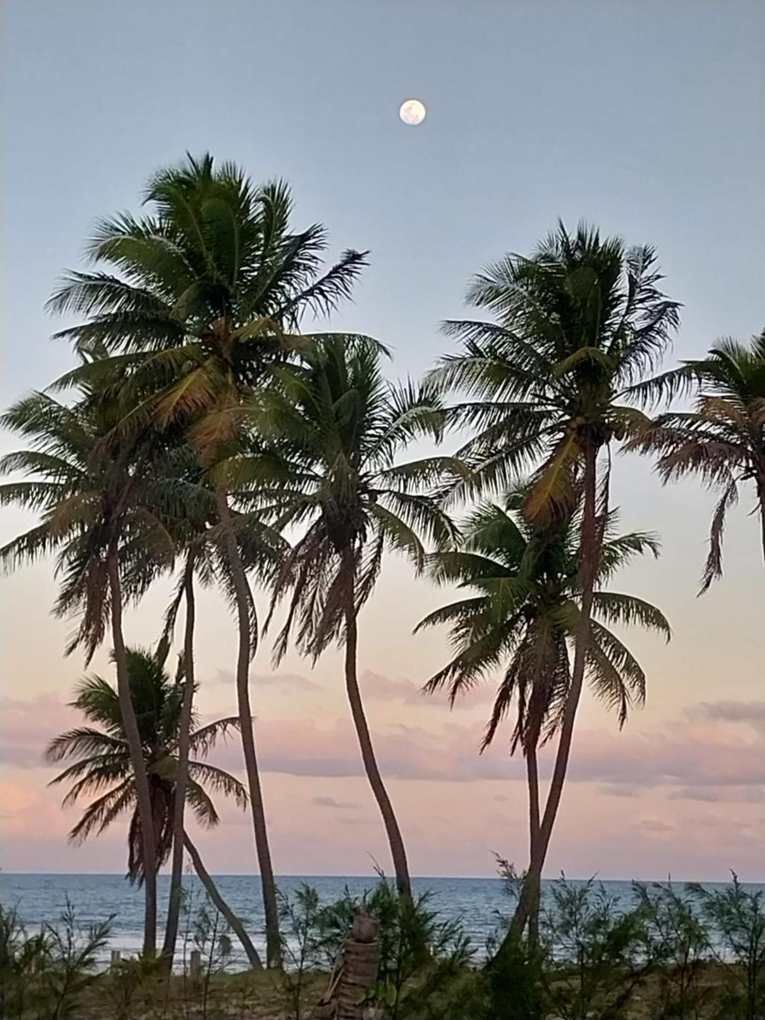 Beach House - Secured, Beach Access, Sea View, Best Location Baixio (Bahia) Exterior foto